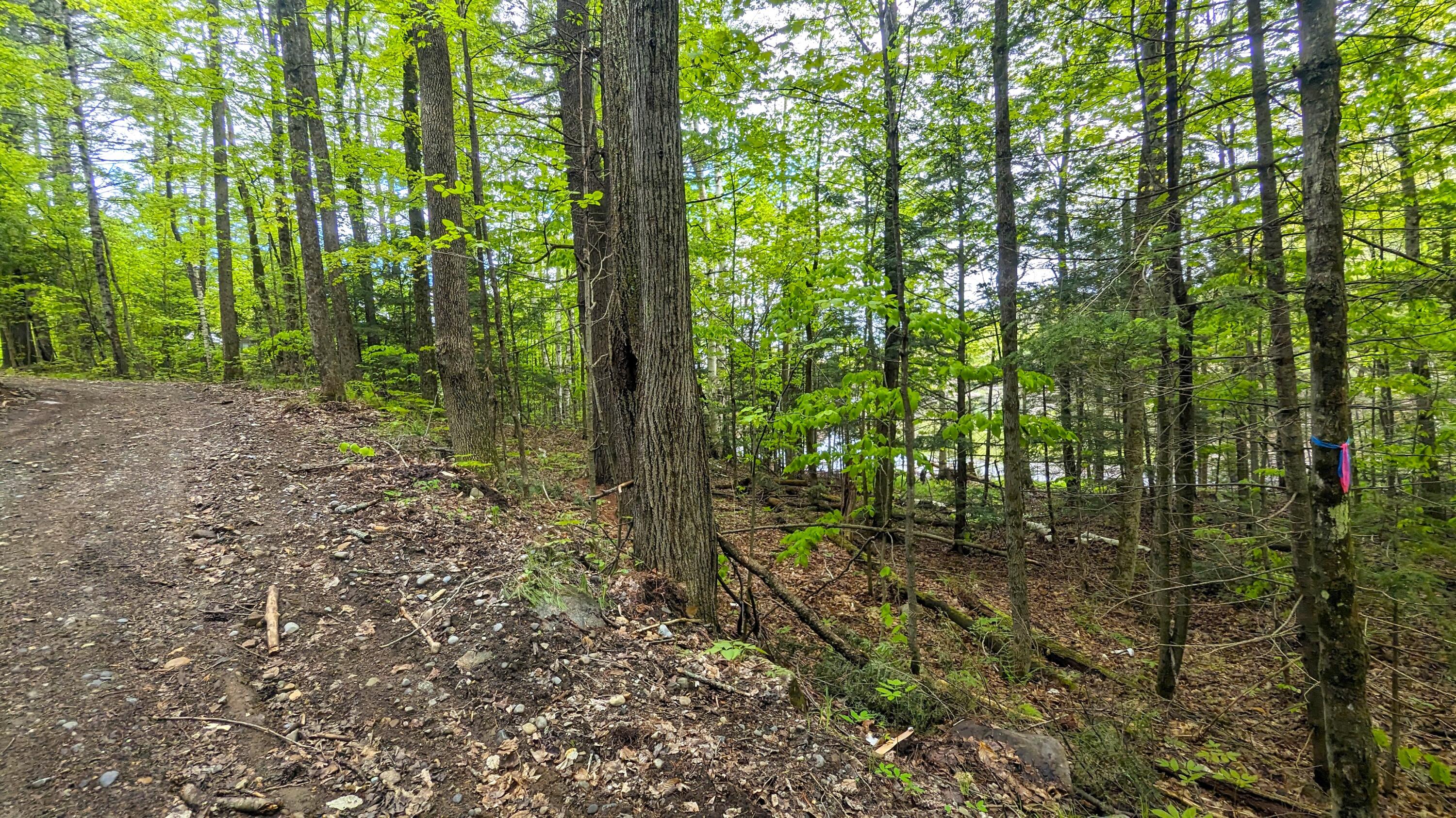 118 Sherman Lake Road Crown Point, NY 12928 - Photo 33 of 50 pWalk to lake2