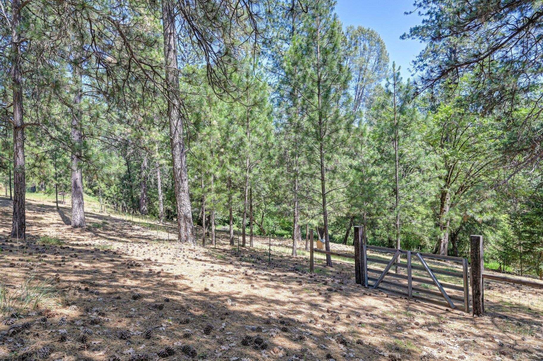1205 Tokayana Ranch Lane Colfax, CA 95713 - Photo 23 of 28