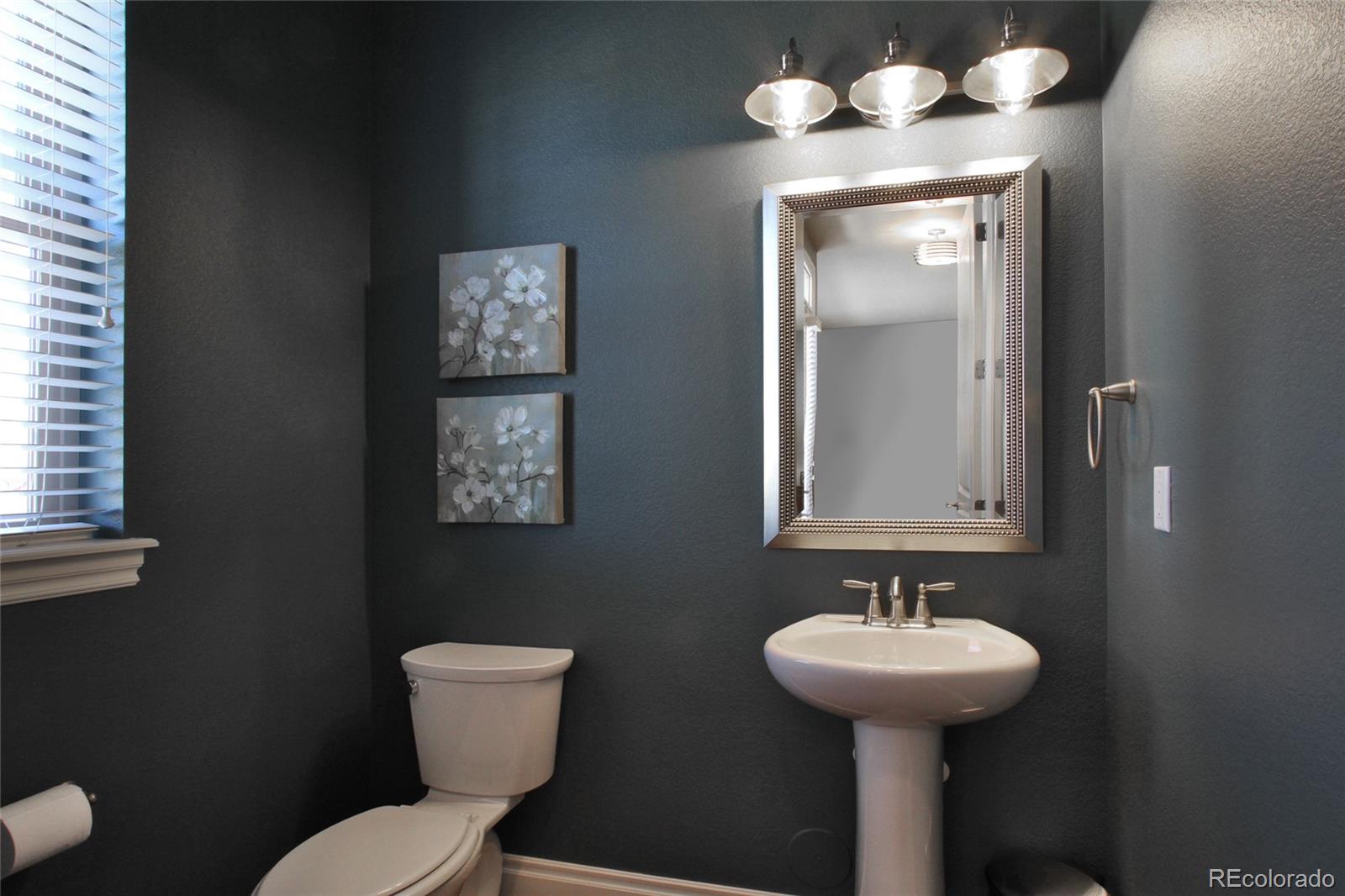 9228 Ridgegate Parkway Lone Tree, CO 80124 - Photo 18 of 32 a bathroom with a toilet sink and mirror