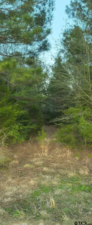$475,000 | 10834 County Road 4162, Tyler, TX 75704