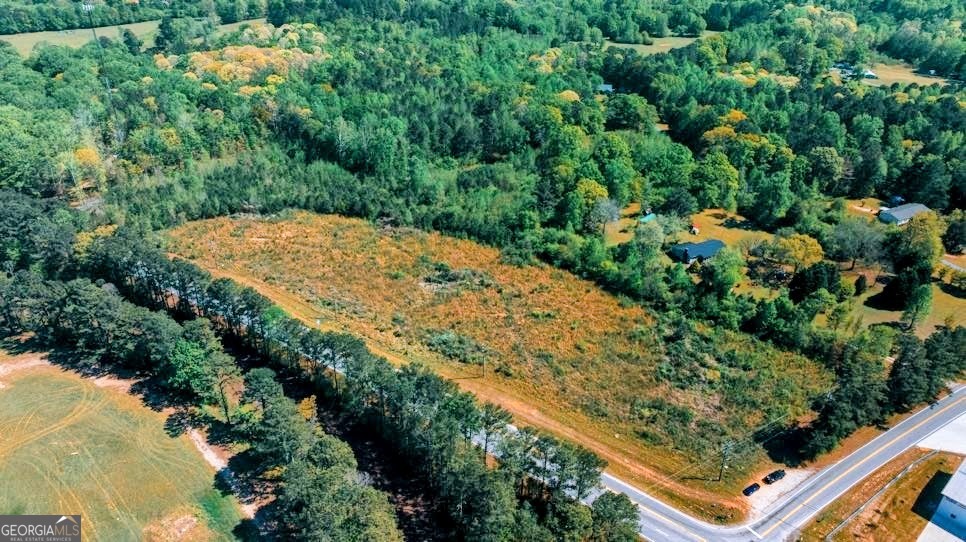 0 Highway 78 Temple, GA 30179 - Photo 5 of 6 a view of a garden with plants