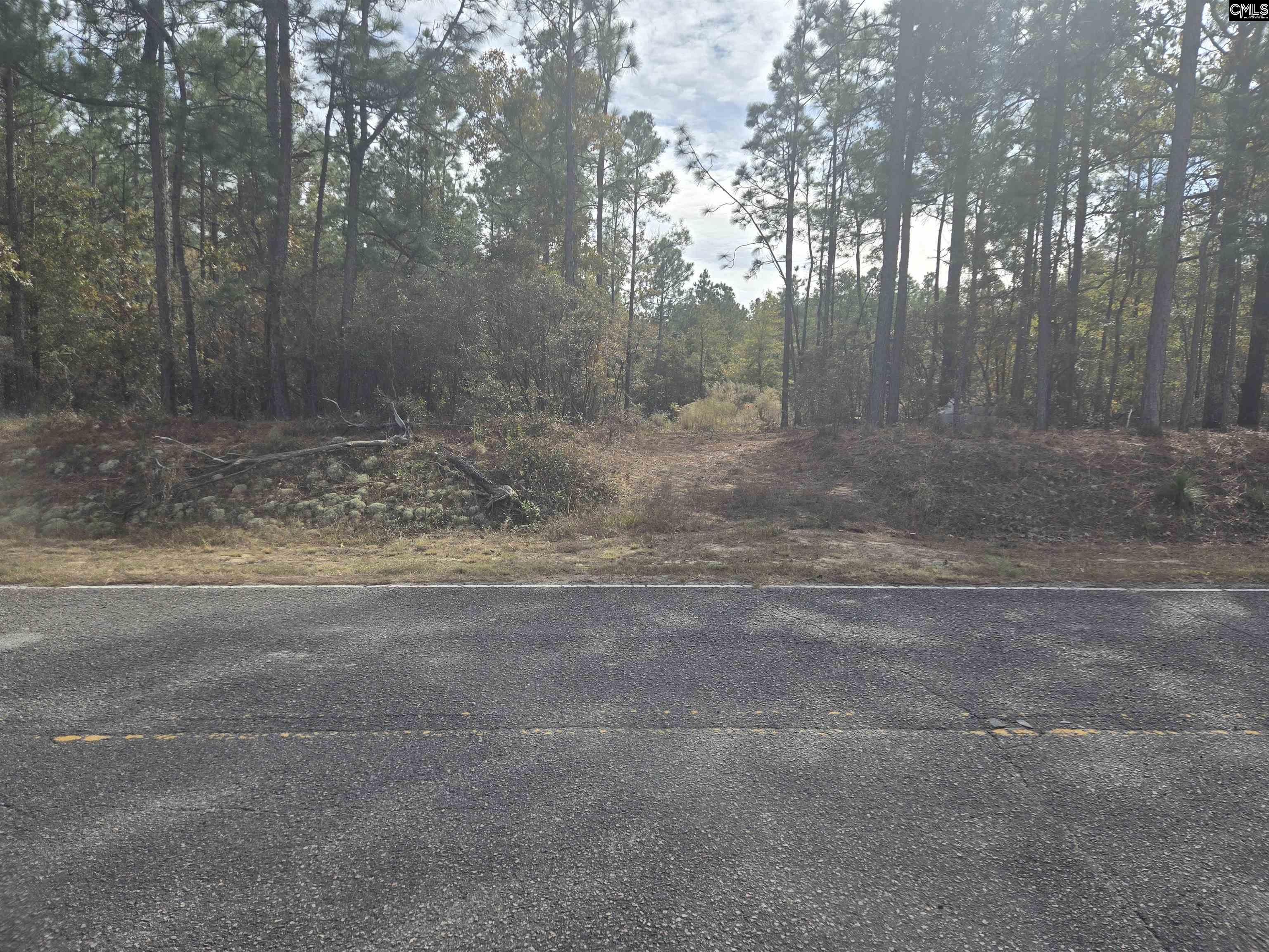 0 Ben Franklin Road Gilbert, SC 29054 - Photo 4 of 5