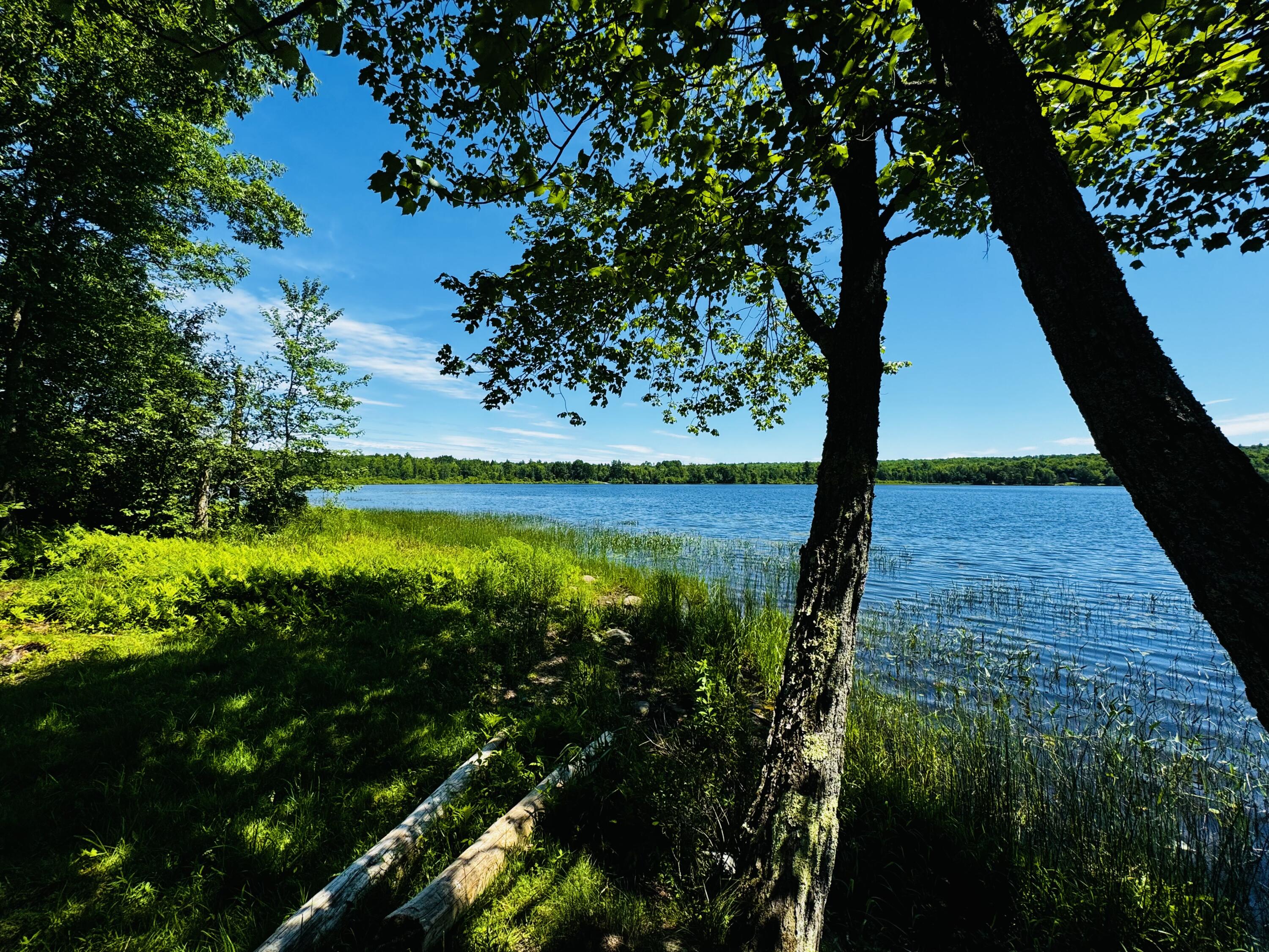 47 Hideaway Lane Ripley, ME 04930 - Photo 17 of 19 IMG_6139