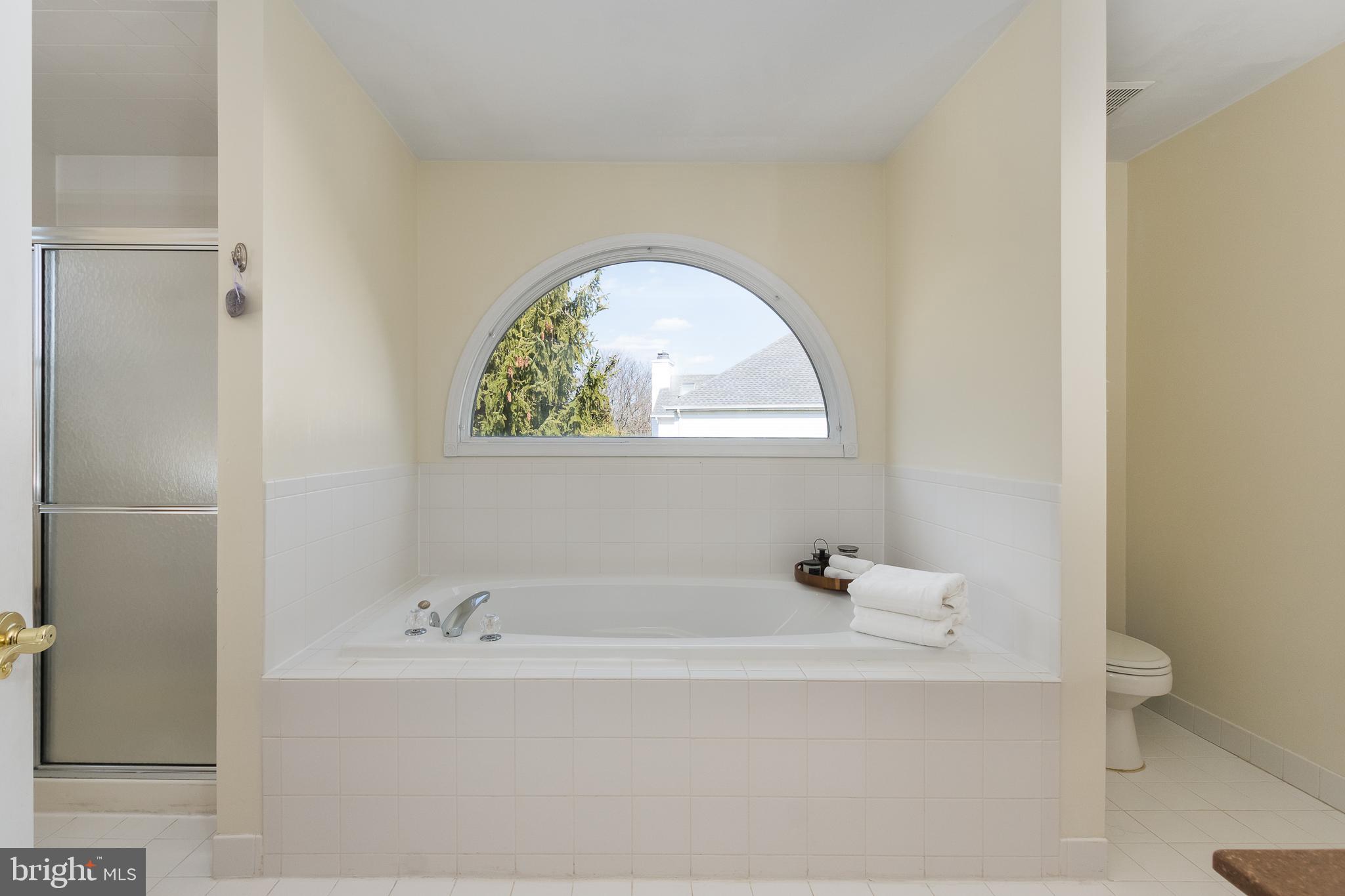 81 Millers Grove Road Belle Mead, NJ 08502 - Photo 21 of 38 Main Bath