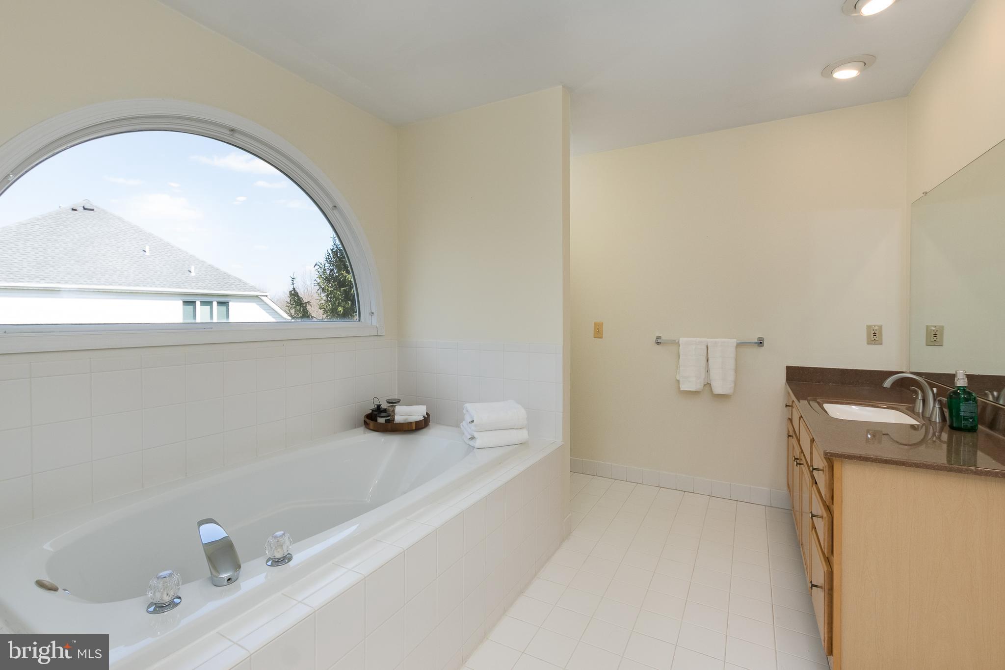 81 Millers Grove Road Belle Mead, NJ 08502 - Photo 22 of 38 Gallery Image 22