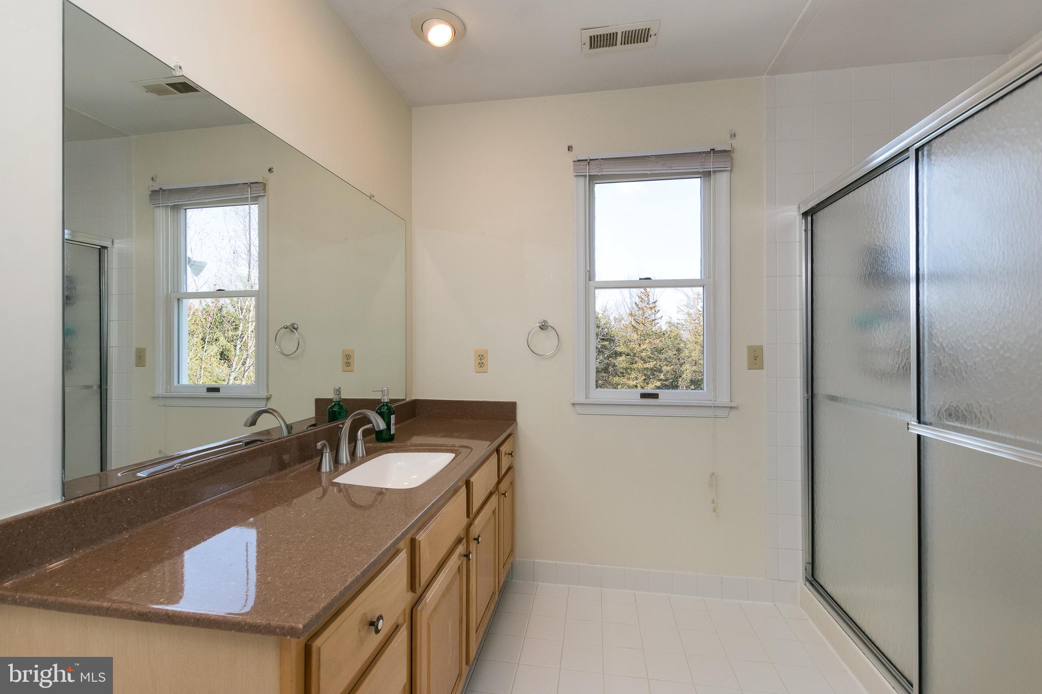 81 Millers Grove Road Belle Mead, NJ 08502 - Photo 23 of 38 Main Bath