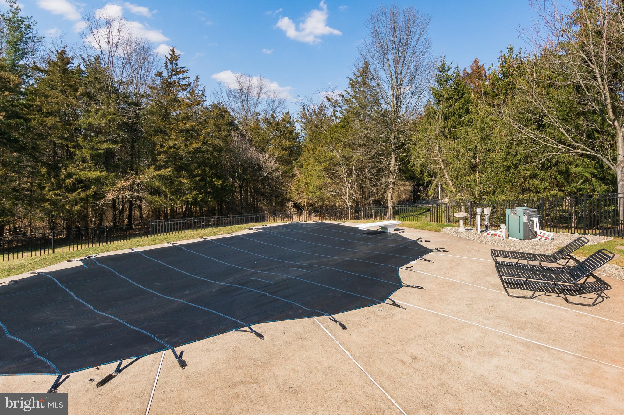 81 Millers Grove Road Belle Mead, NJ 08502 - Photo 31 of 38 Inground Pool