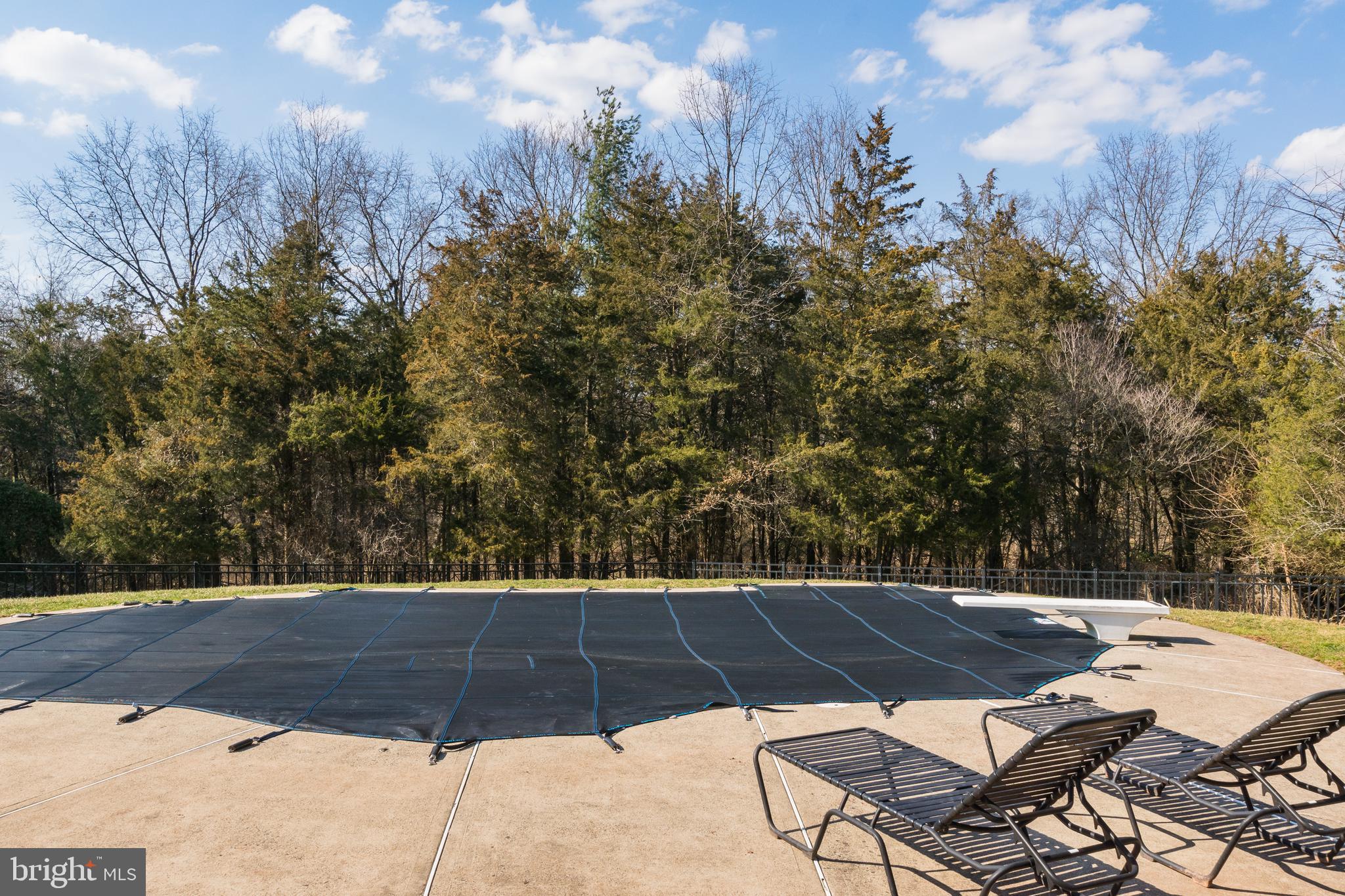 81 Millers Grove Road Belle Mead, NJ 08502 - Photo 32 of 38 Gallery Image 32