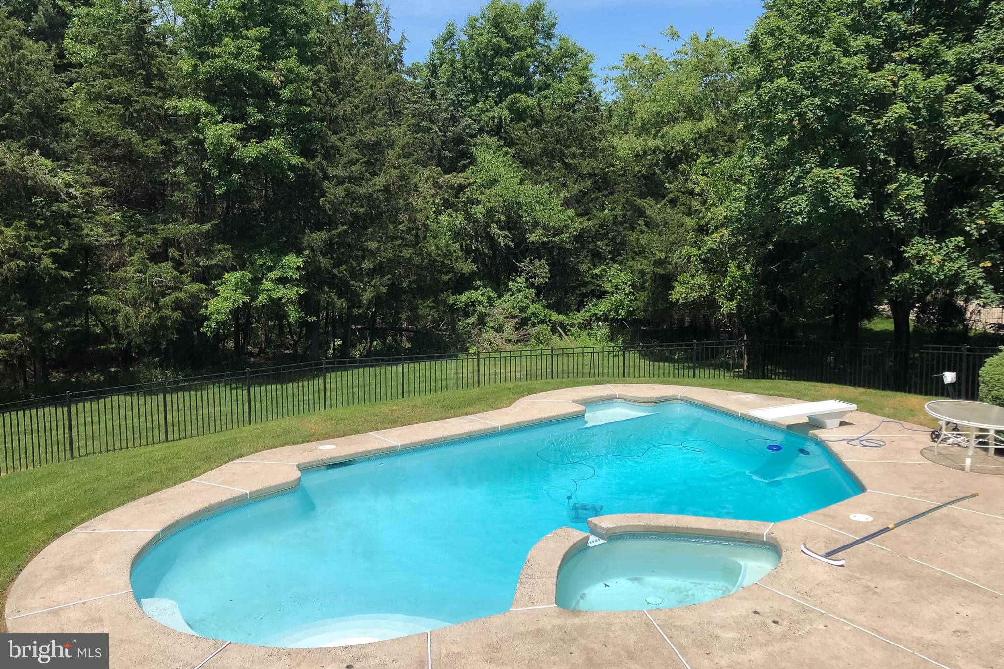 81 Millers Grove Road Belle Mead, NJ 08502 - Photo 37 of 38 Pool when open
