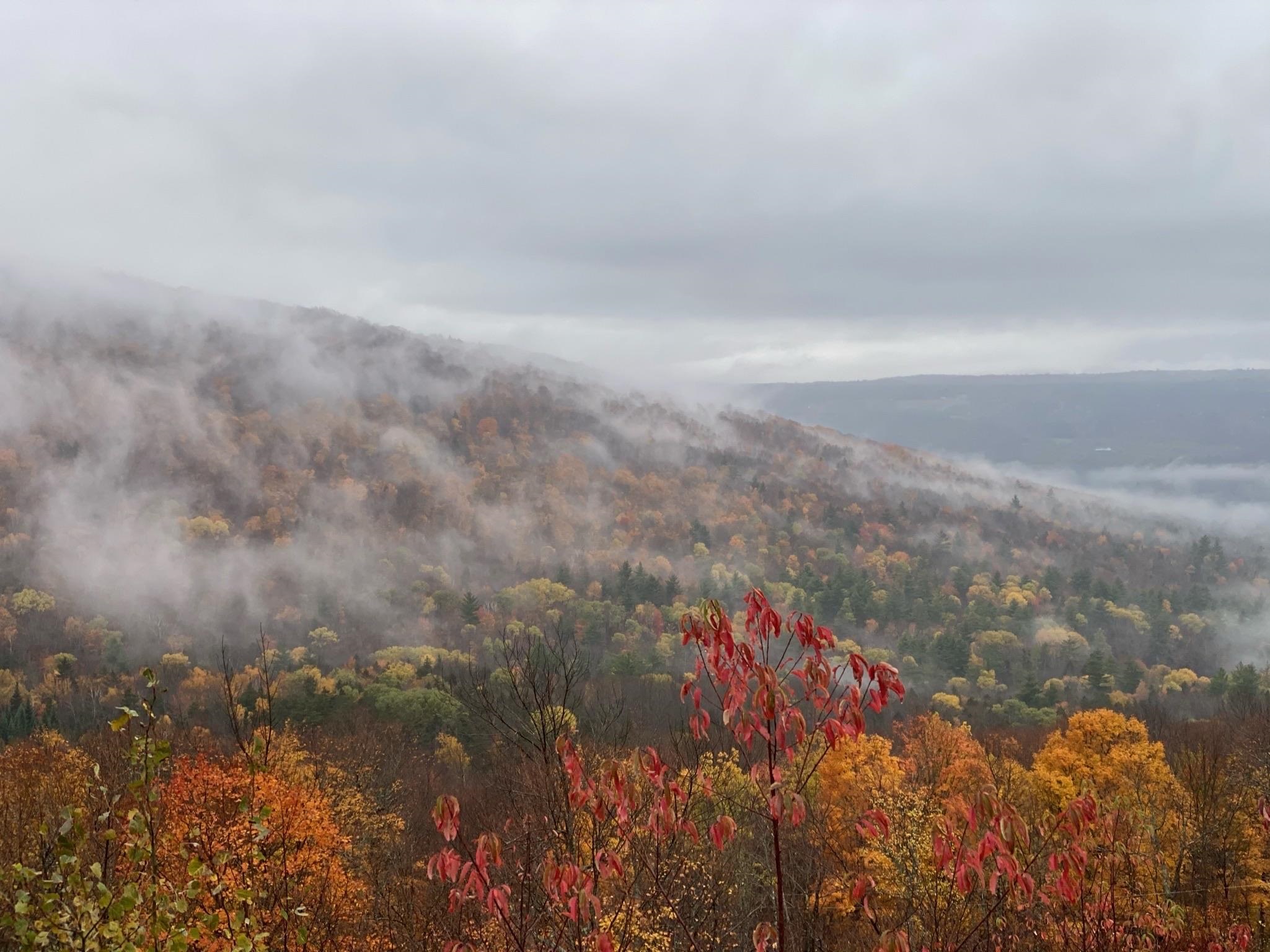 506 Andover Ridge Road Andover, VT 05143 - Photo 37 of 39