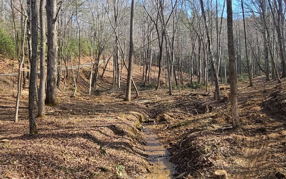 0 Persimmon Branch Road Murphy, NC 28906 - Photo 4 of 4 Additional View