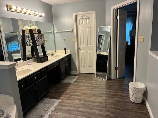 a bathroom with a sink vanity and a mirror