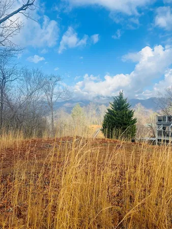 $45,900 | 0 Aster Trail, Marble, NC 28905