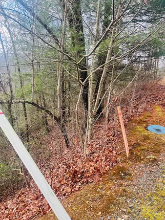 $45,900 | 0 Aster Trail, Marble, NC 28905