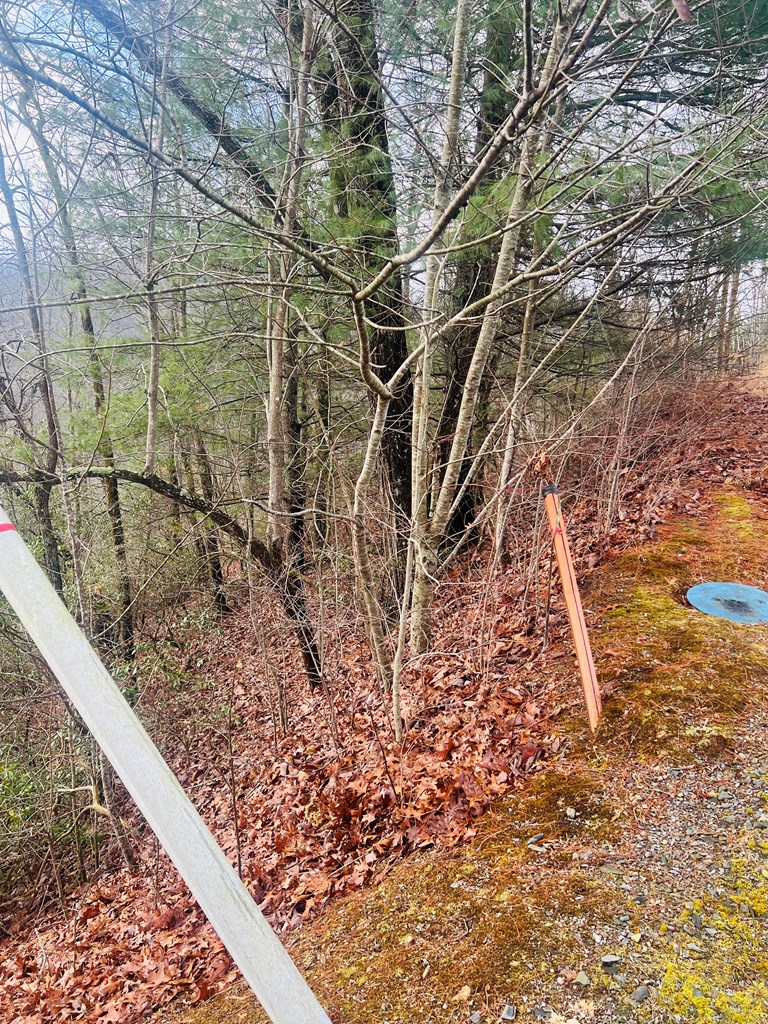 0 Aster Trail Marble, NC 28905 - Photo 2 of 13 a view of a yard with plants and wooden fence