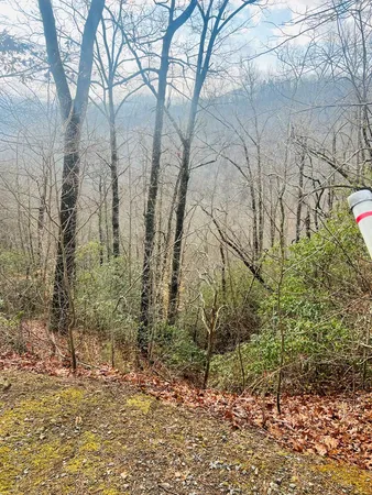 $45,900 | 0 Aster Trail, Marble, NC 28905