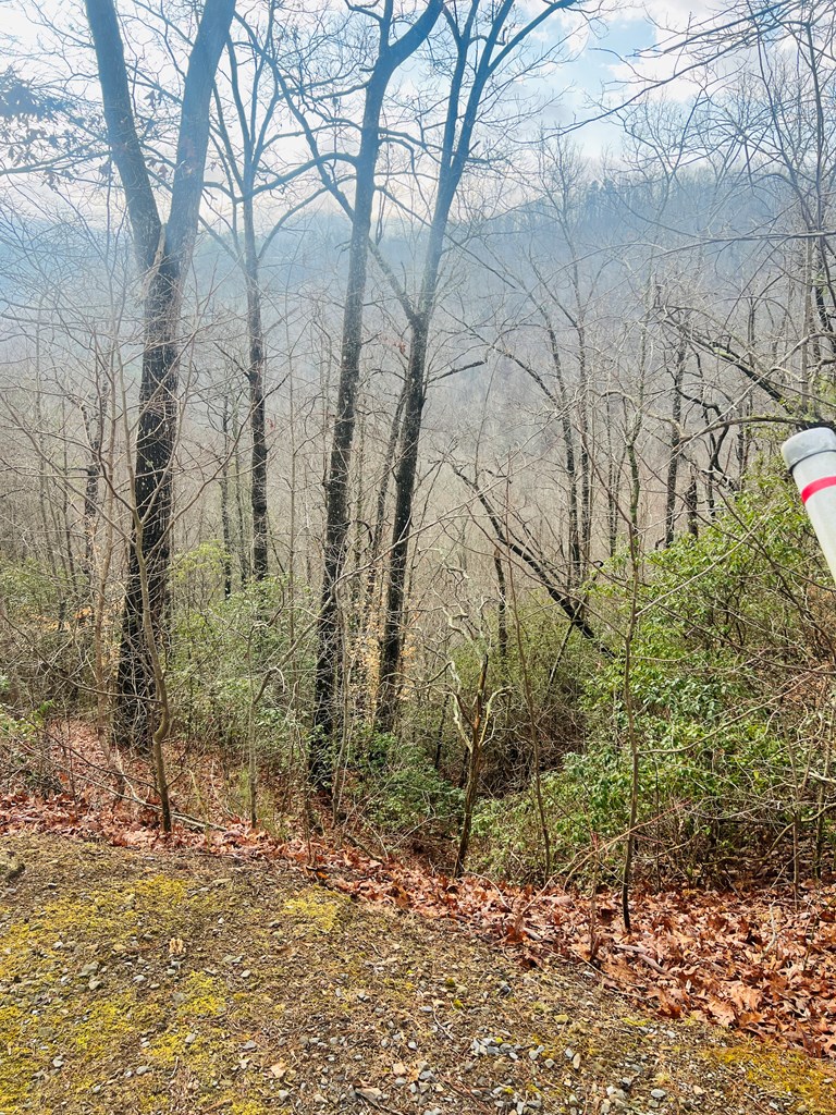 0 Aster Trail Marble, NC 28905 - Photo 3 of 13 a backyard of a house with lots of green space