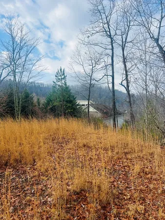 $45,900 | 0 Aster Trail, Marble, NC 28905