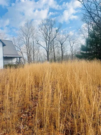 $45,900 | 0 Aster Trail, Marble, NC 28905