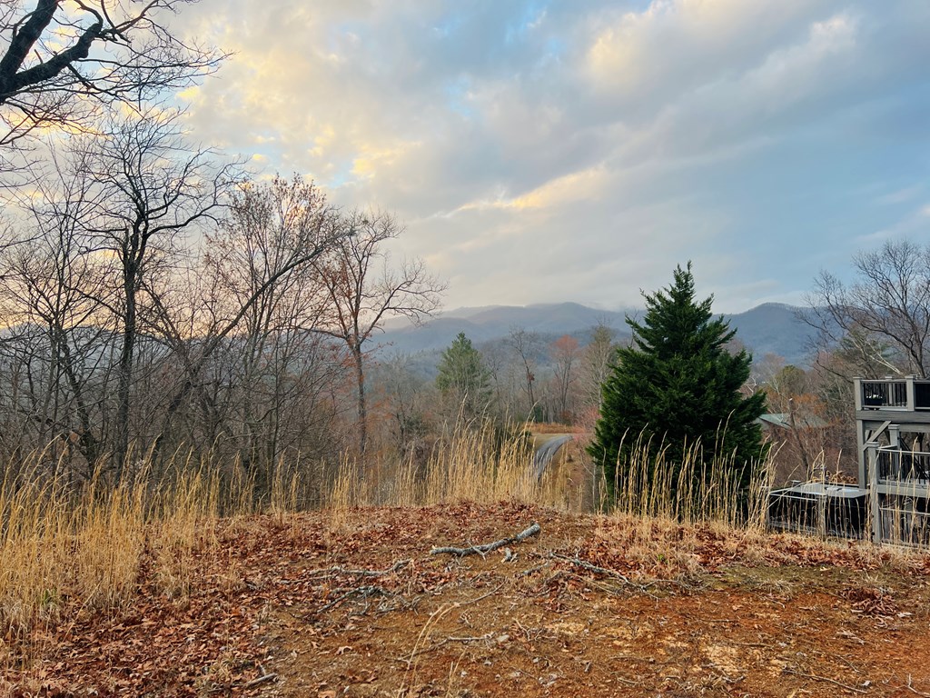 0 Aster Trail Marble, NC 28905 - Photo 7 of 13 a view of a yard with palm trees