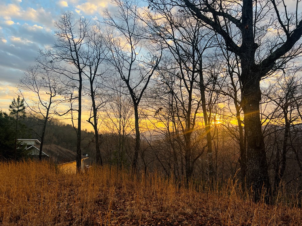 0 Aster Trail Marble, NC 28905 - Photo 8 of 13 a backyard of a house with lots of green space