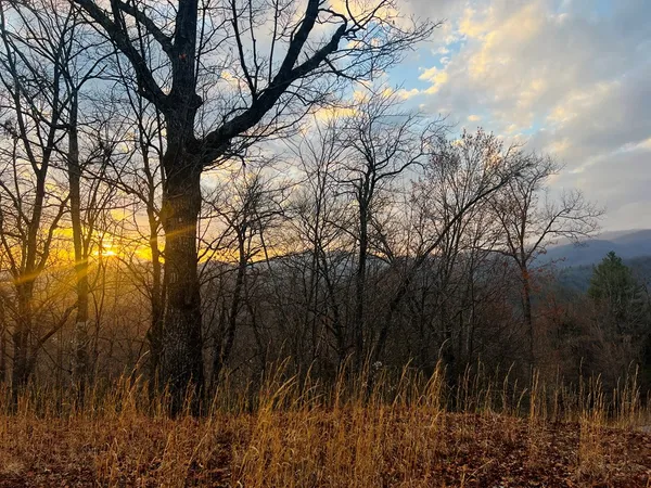 $45,900 | 0 Aster Trail, Marble, NC 28905