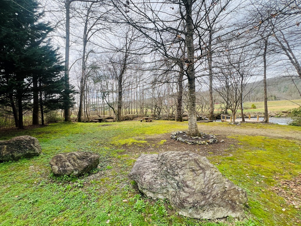 0 Aster Trail Marble, NC 28905 - Photo 10 of 13 a view of yard with swimming pool