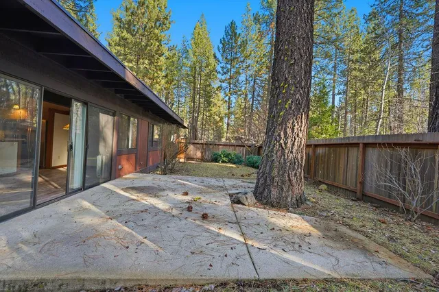 a view of a backyard with a tree