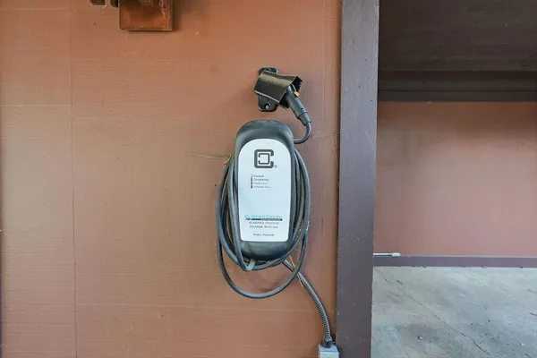 a view of a backyard with a tree