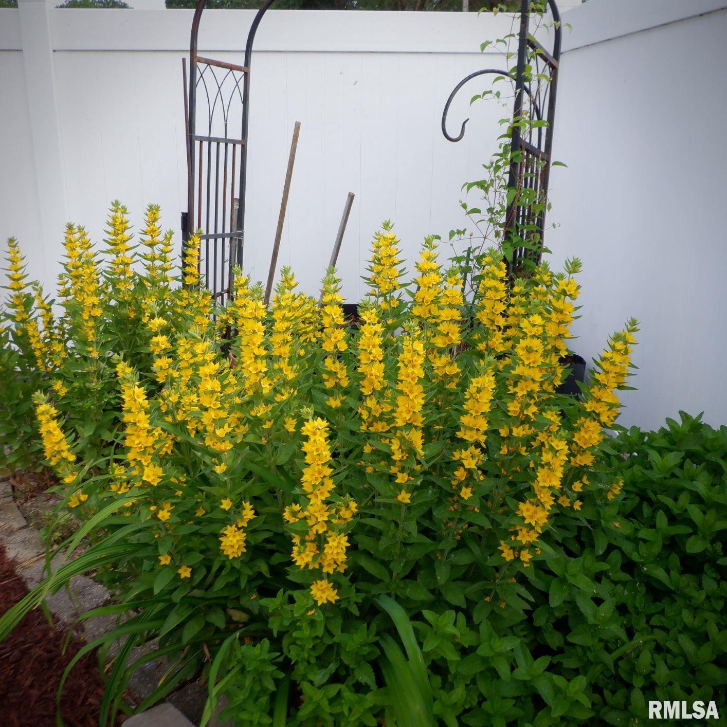 6008 Charleston Road Peoria, IL 61607 - Photo 11 of 47 Gallery Image 11