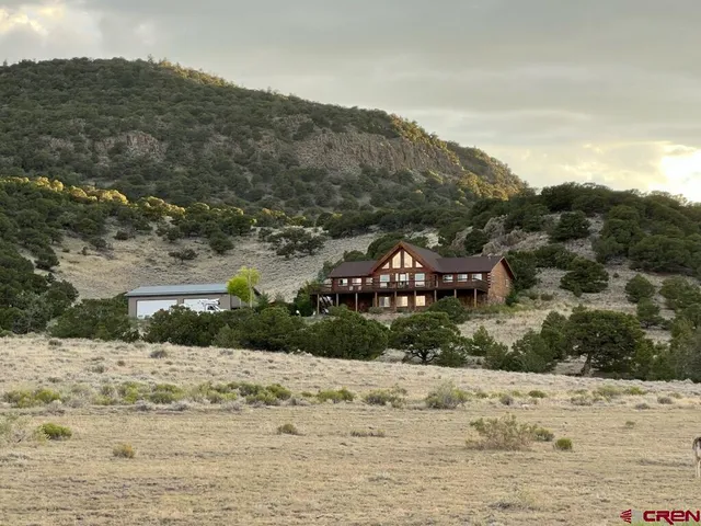 a view of a yard with a large tree