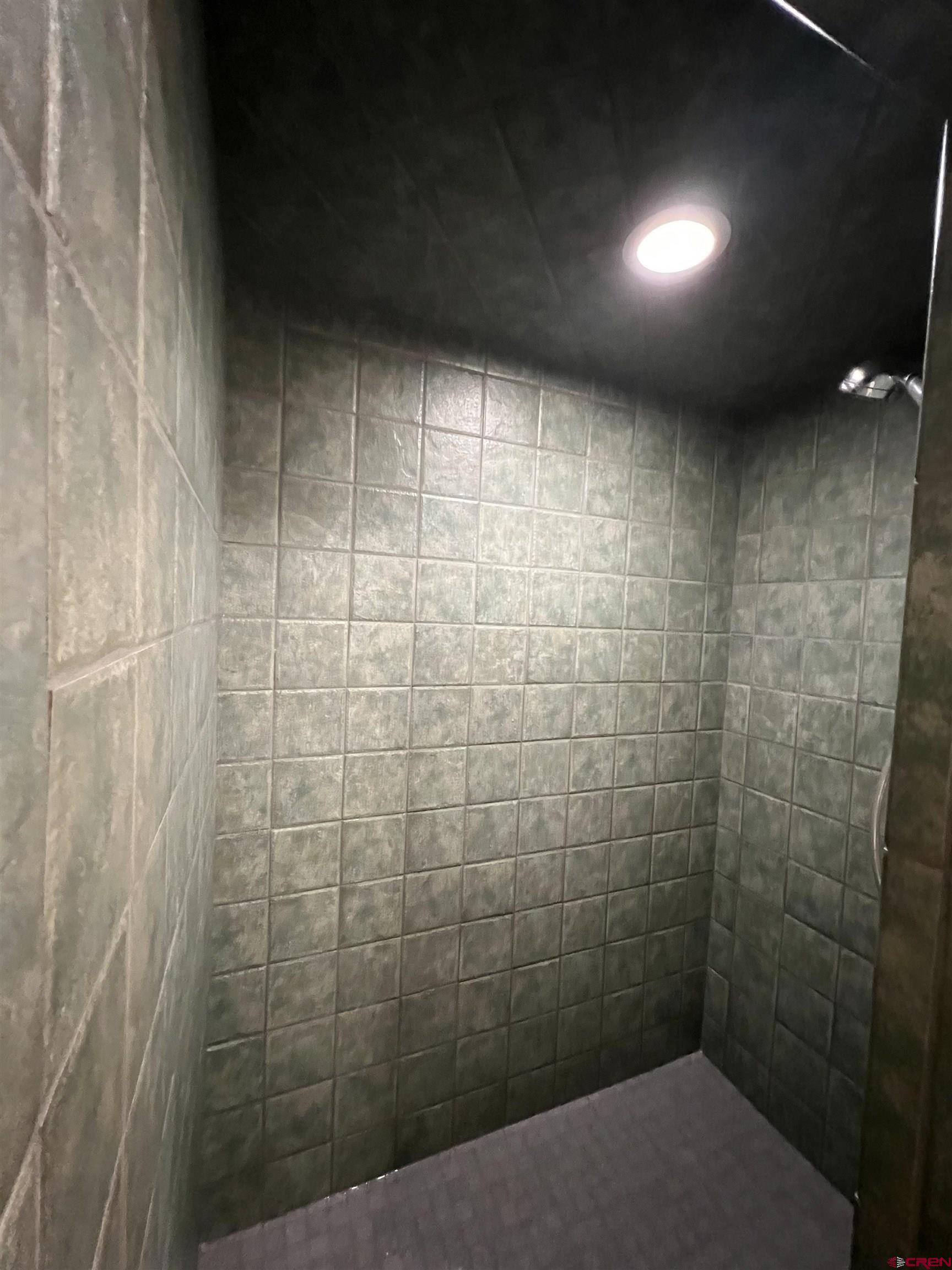 41400 Co Road Saguache, CO 81149 - Photo 13 of 45 a bathroom with a shower