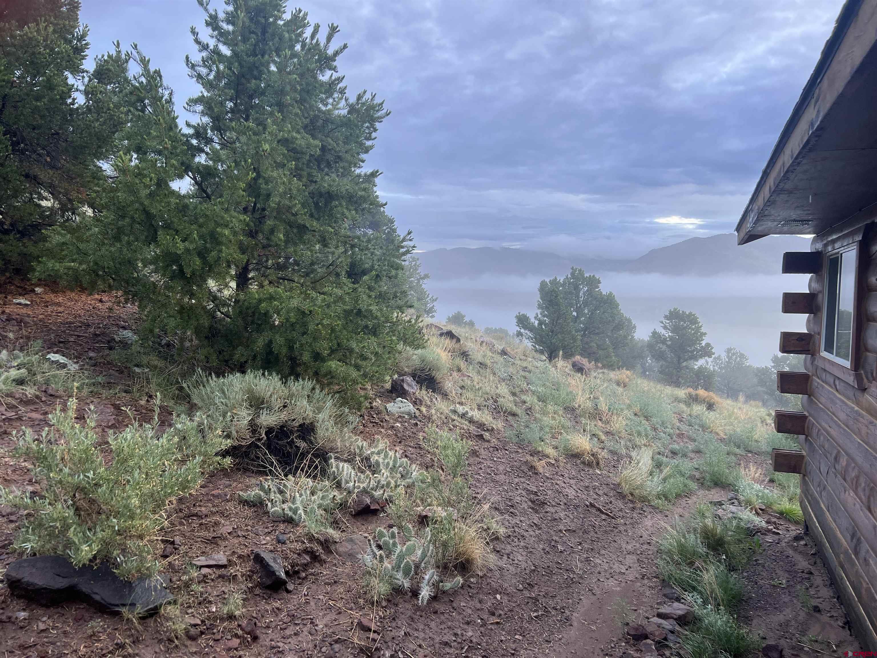 41400 Co Road Saguache, CO 81149 - Photo 37 of 45 a view of a yard in a forest