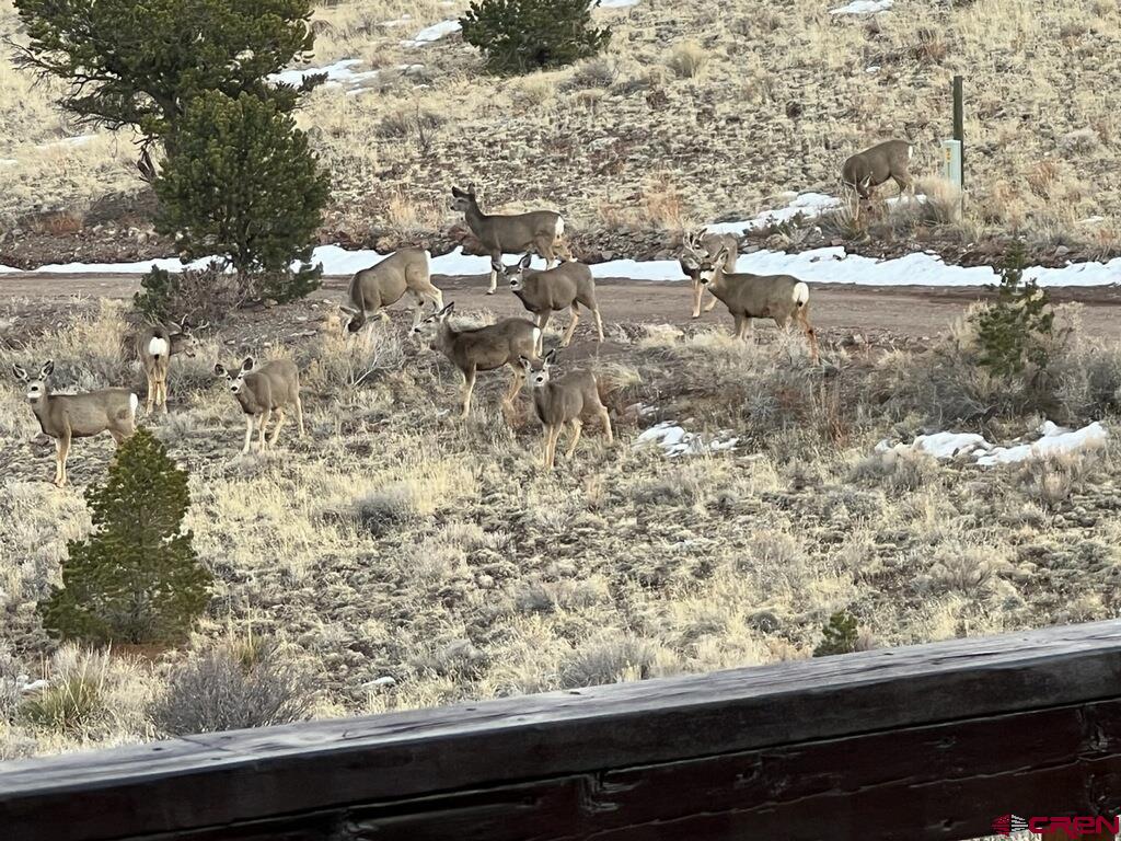 41400 Co Road Saguache, CO 81149 - Photo 42 of 45 a view of sky from the window