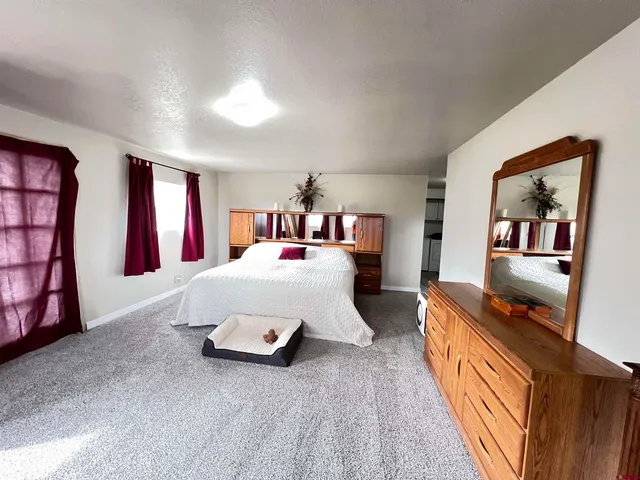 a bed room with a bed and a book shelf