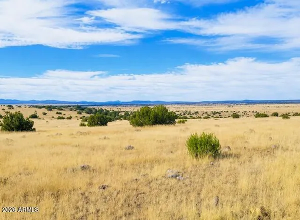 $7,199 | 0 Arapaho, Unit 3, Concho, AZ 85924