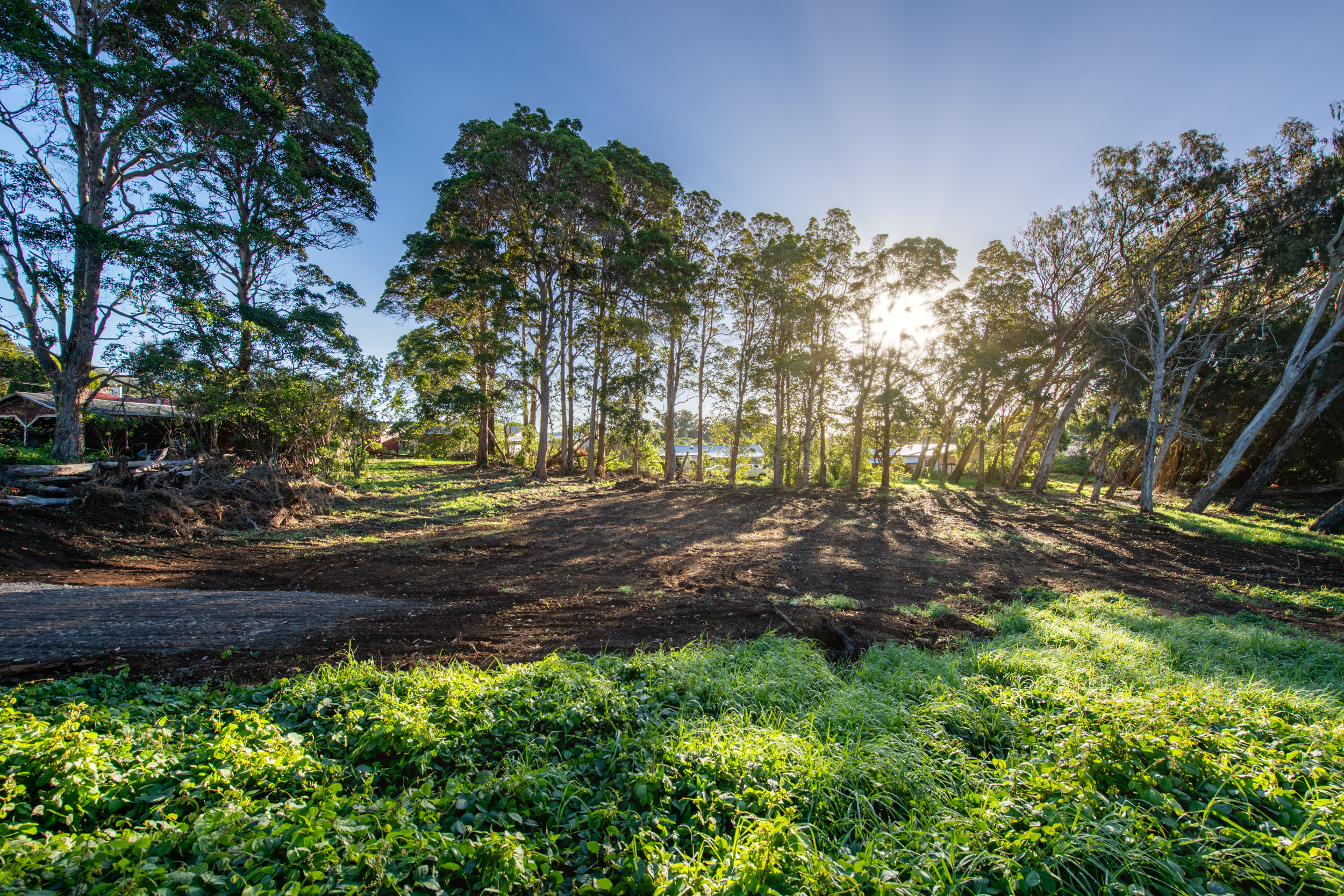 65-1221 Lot 4 Hokuula Road Kamuela, HI 96743 - Photo 3 of 17 a view of yard