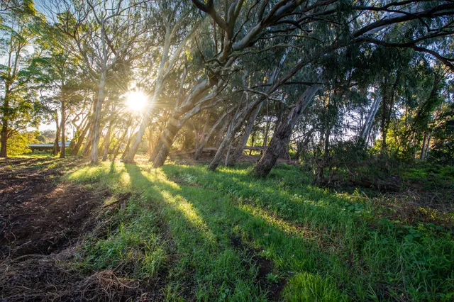 $1,850,000 | 65-1221 Lot 4 Hokuula Road, Kamuela, HI 96743