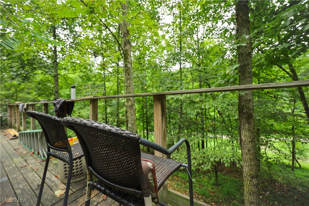 30939 Jacks Run Road Quaker City, OH 43773 - Photo 13 of 48 Gallery Image 13