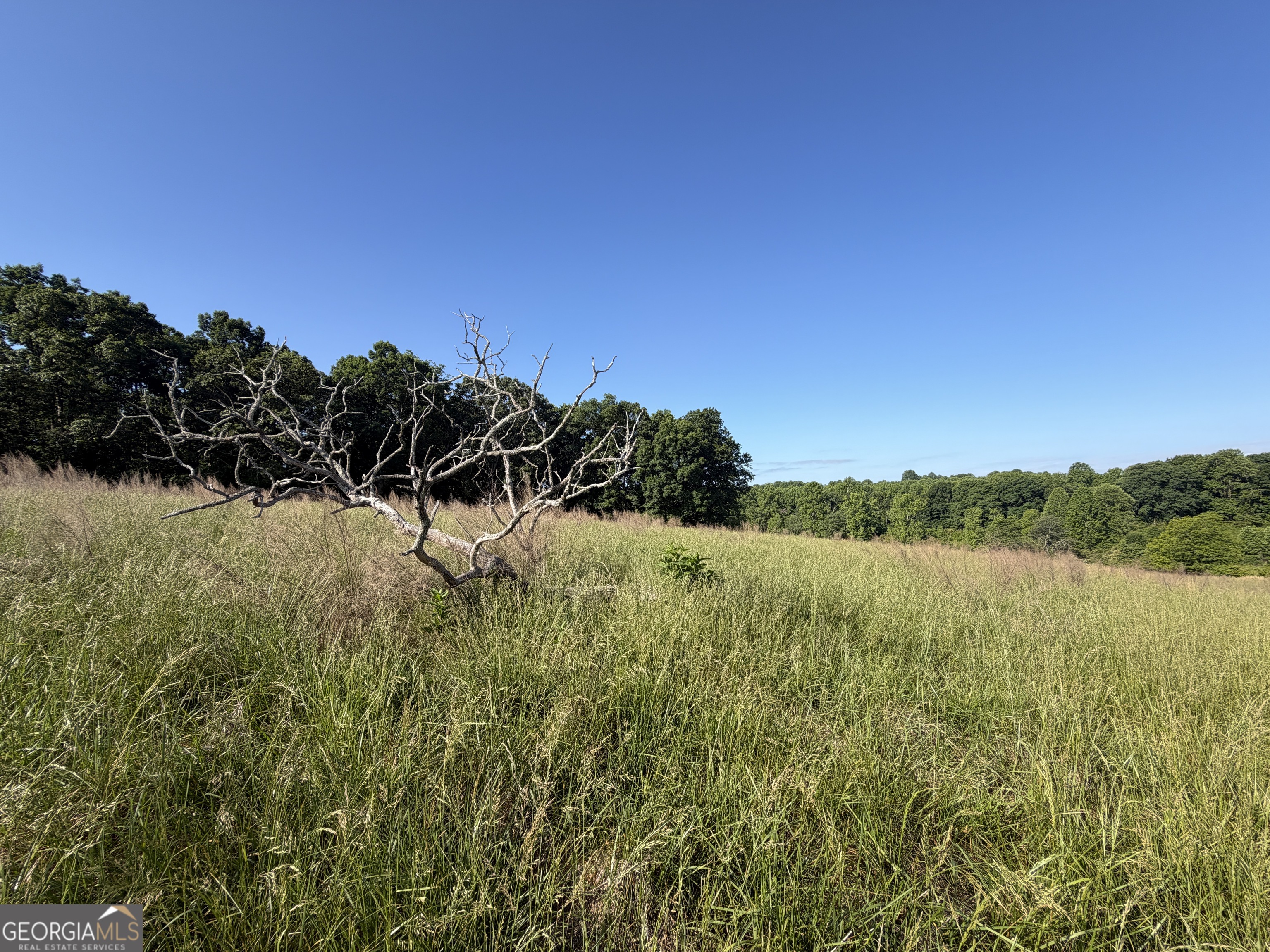 0 Jim Thomas Road Demorest, GA 30535 - Photo 27 of 33