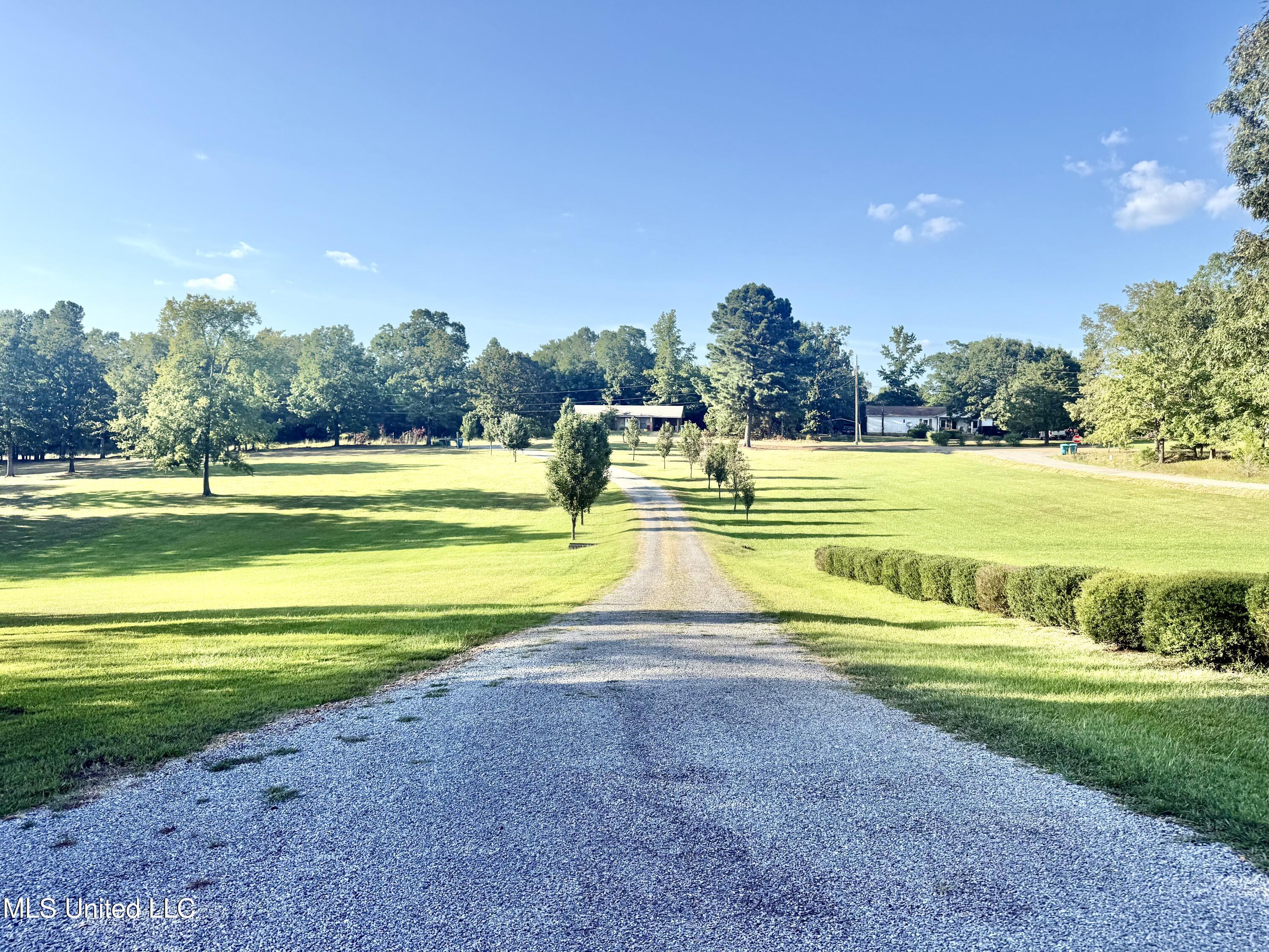 367 Dr King Drive Gore Springs, MS 38929 - Photo 40 of 59 IMG_0253