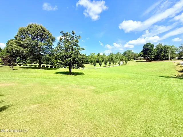 $360,000 | 367 Dr King Drive, Gore Springs, MS 38929