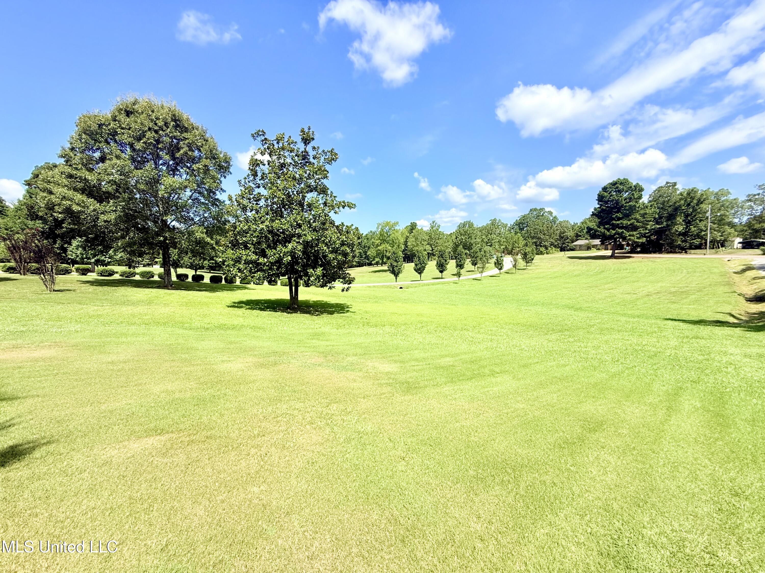 367 Dr King Drive Gore Springs, MS 38929 - Photo 4 of 59 IMG_0166