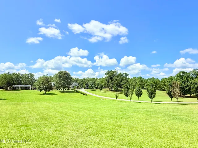 $360,000 | 367 Dr King Drive, Gore Springs, MS 38929