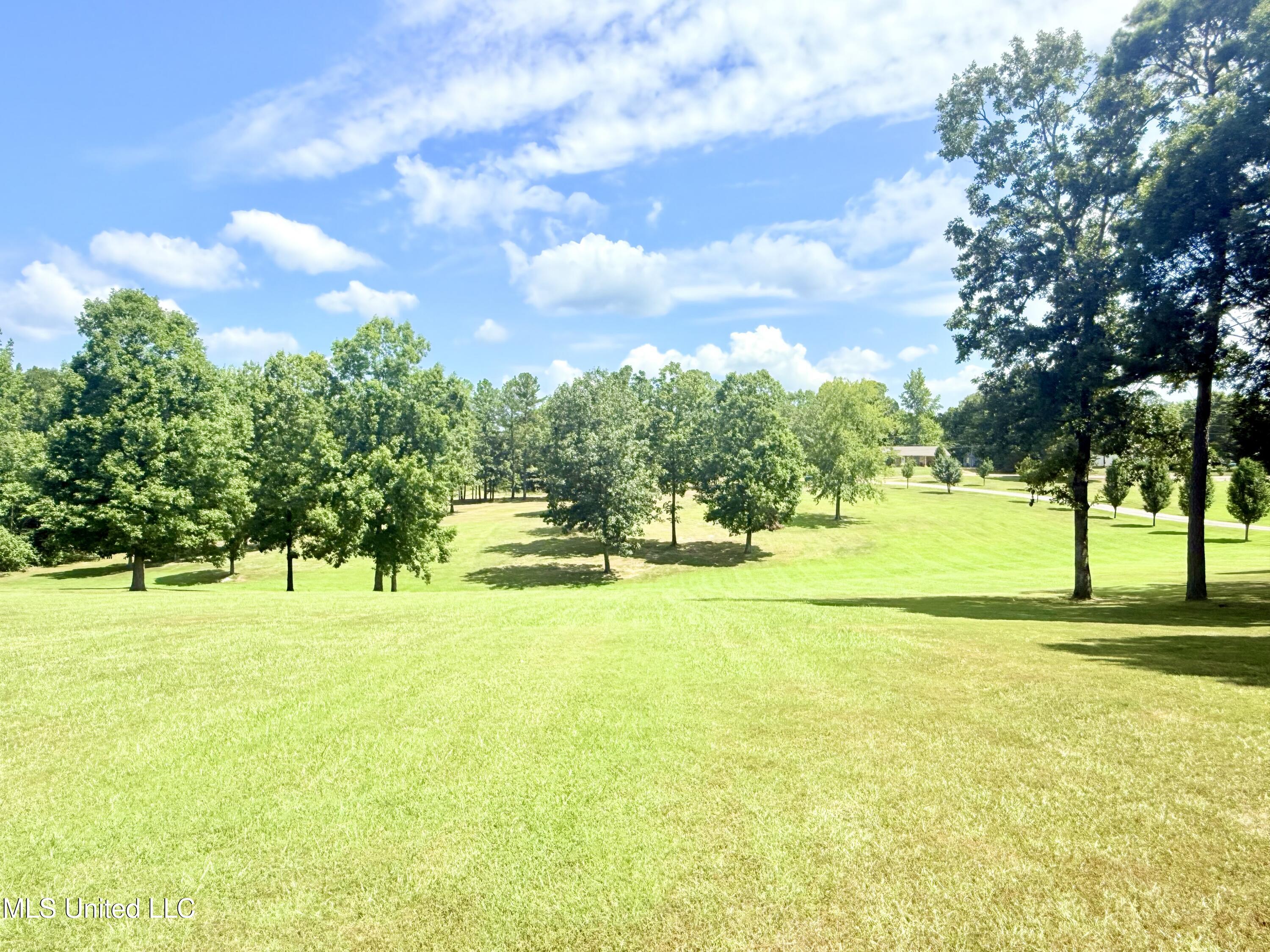 367 Dr King Drive Gore Springs, MS 38929 - Photo 45 of 59 IMG_0156