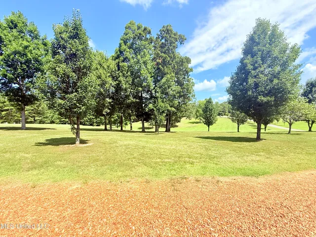 $360,000 | 367 Dr King Drive, Gore Springs, MS 38929