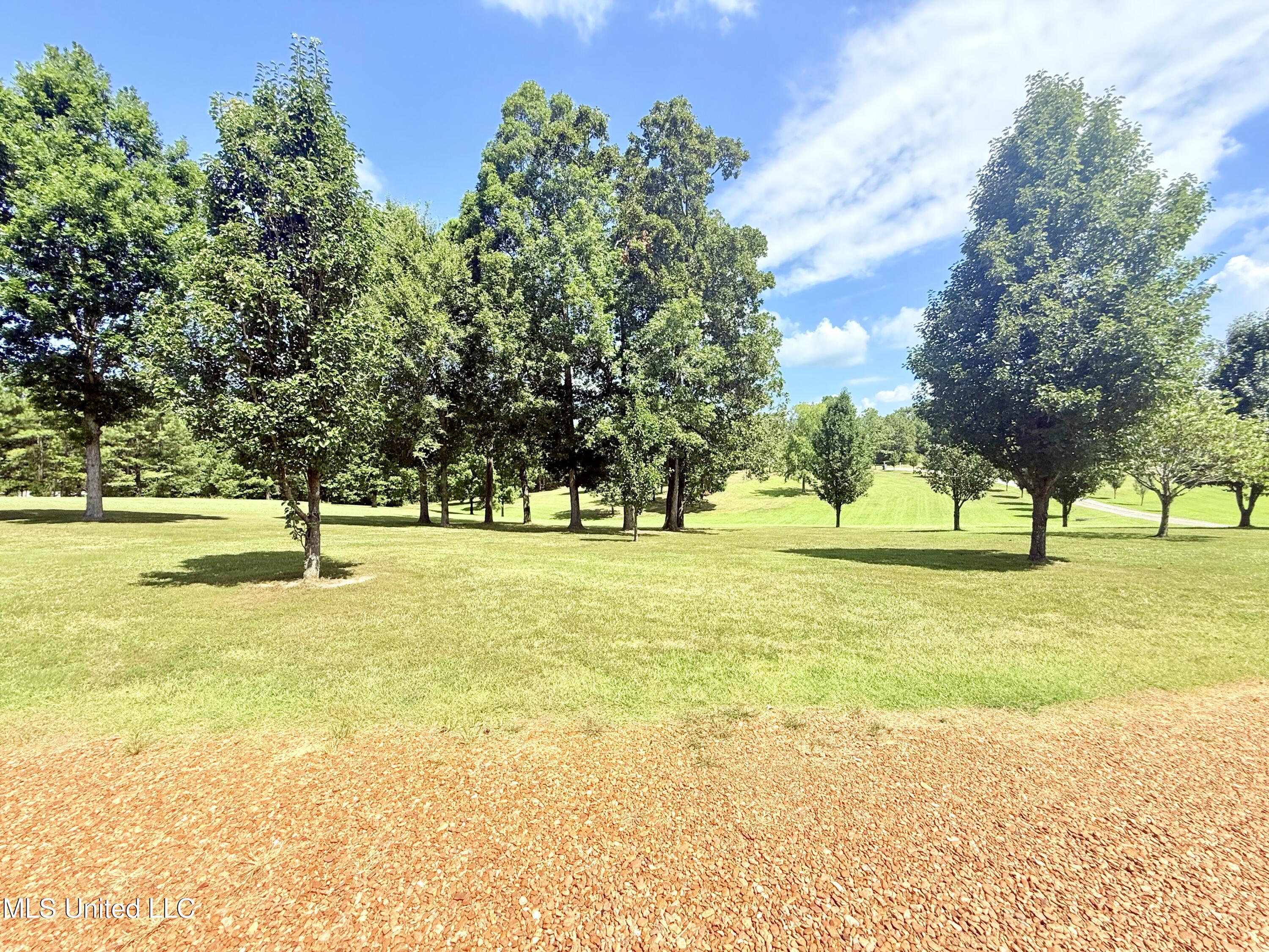 367 Dr King Drive Gore Springs, MS 38929 - Photo 50 of 59 IMG_0155