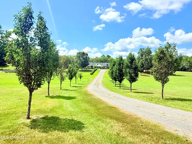 $360,000 | 367 Dr King Drive, Gore Springs, MS 38929