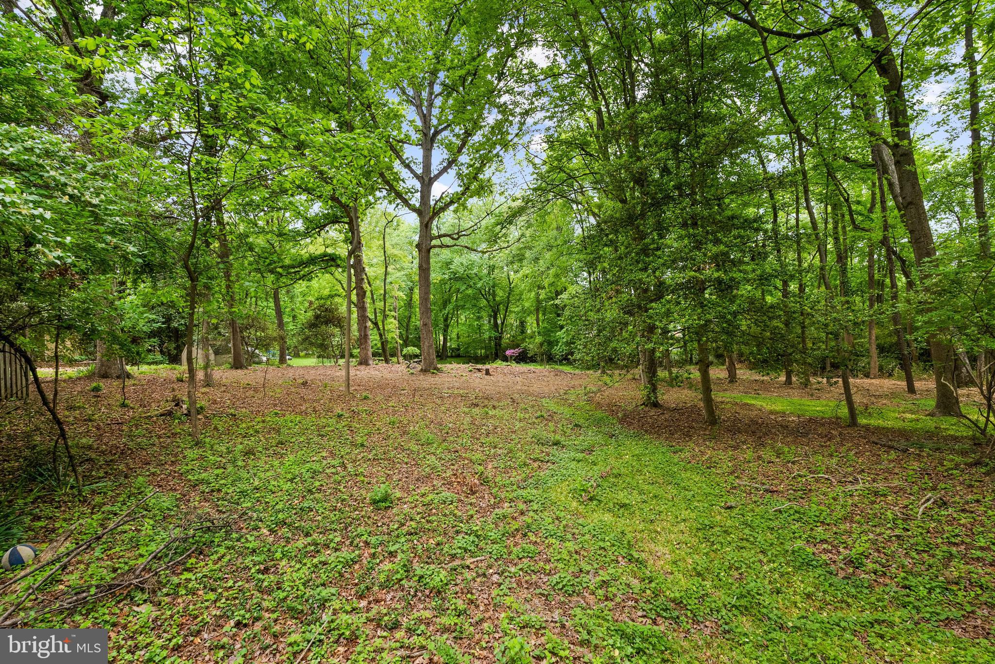 1914 Birch Road McLean, VA 22101 - Photo 5 of 6 a view of backyard with tree