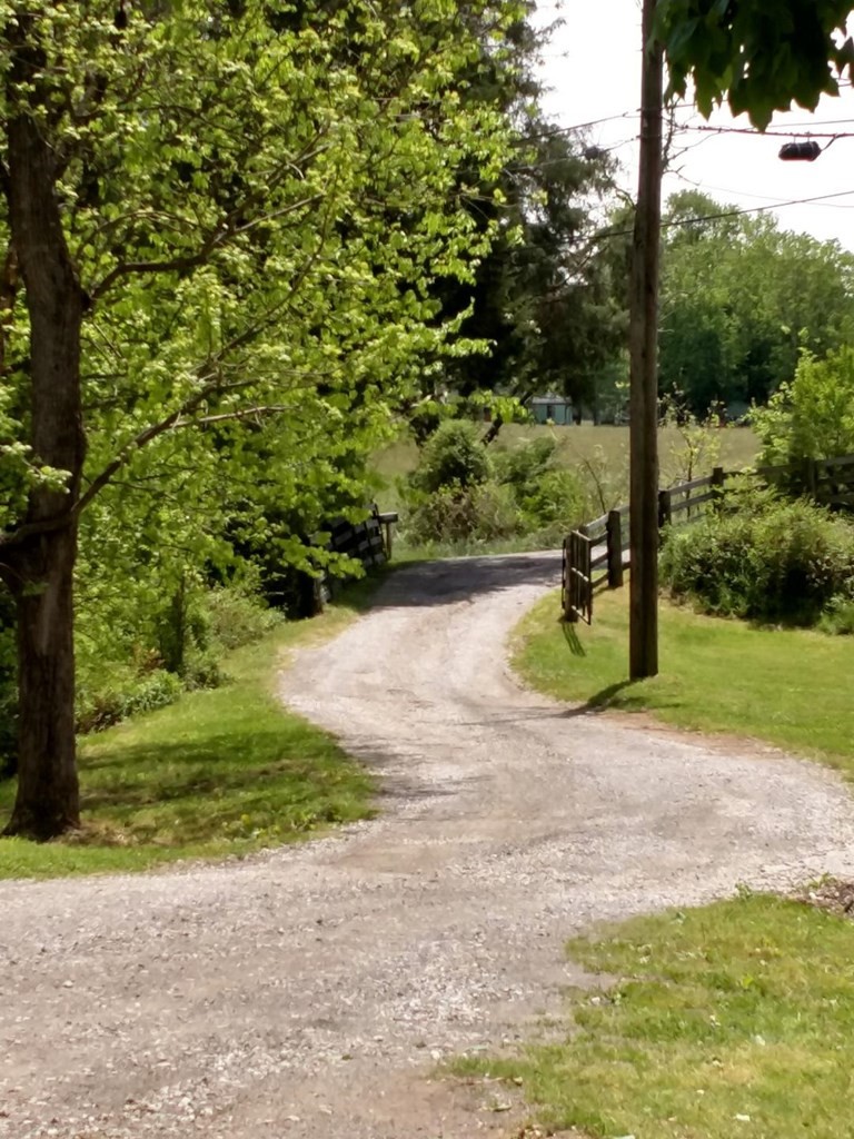 1056 Friends Station Road New Market, TN 37820 - Photo 3 of 9
